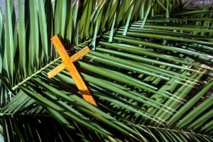palm-sunday-usa