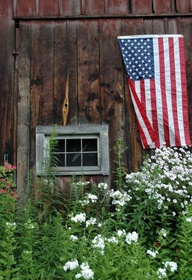 168603579770511072_8HjWY94S_b