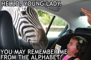 5a3e264cf12c24903877a2902ea6f2c1