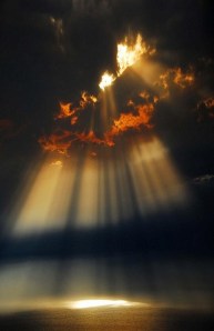 bff68d240333e44ed3e548460849b999