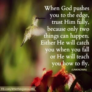 XXX1457734_526971117398395_907598112_n