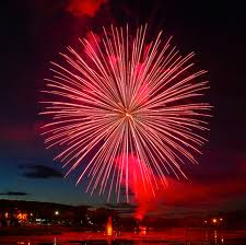 Firework-Chrysanthemum