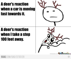 d90347cc708b720a5257db414492d341