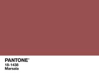 Pantone-COY-Marsala-04