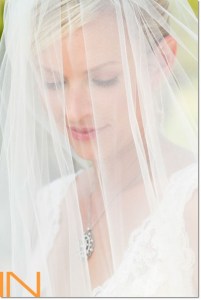 photo of veil