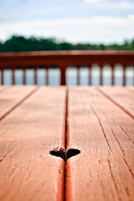 X156148312049834581_80hZpZFw_b