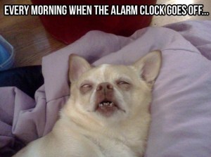 Alarm