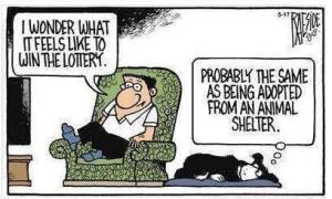 Lottery and pet adoption