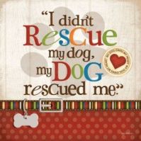 My dog rescued me