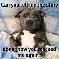 Rescued