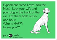 XXXtrunks, dog or wife