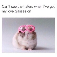 Can't see the haters