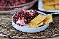 cranberry-salsa-dip