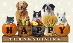 happy-thanksgiving-pets1