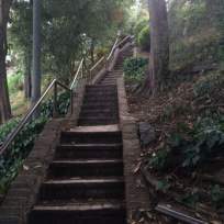 greenwich-st-to-coit-tower