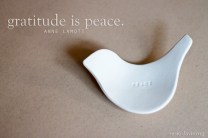 Gratitude is peace