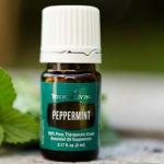 Peppermint-Essential-Oil-Young-Living_large