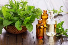 peppermint-essential-oil