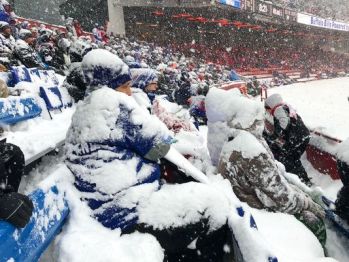 Bills fans1