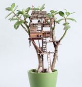House in plant2
